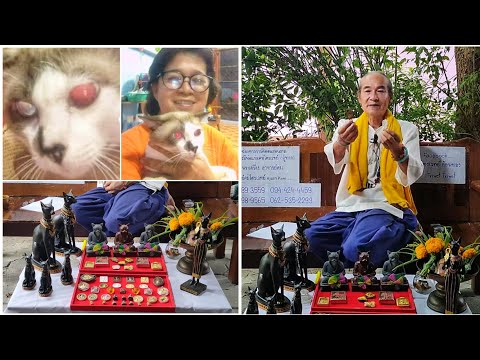 เพชรตาแมว-แมวตาเพชรเปิดตำนานอา เพชรตาแมว-แมวตาเพชรเปิดตำนานอา