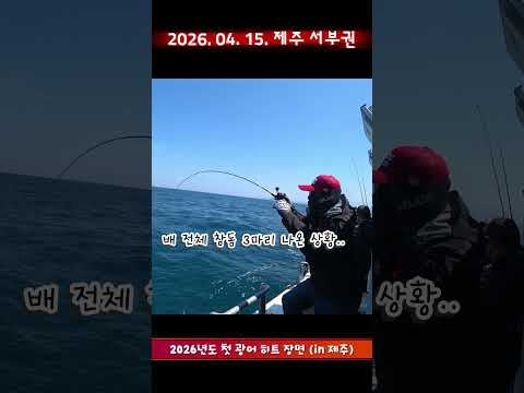 (10m 이상 떠서 입질) #광어 #낚시 #fishing #<strong>타이라바</strong>
