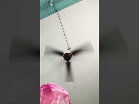 पंखा चले तो हवा देता है #funny #comedy #duet #ekmotahathighumechala