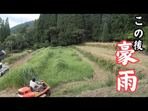 大丈夫と思ってたら土砂降り草刈り！