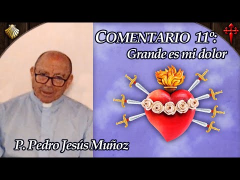 Comentario 11º del P. Pedro: GRANDE ES MI DOLOR - Libro Azul del P. Gobbi