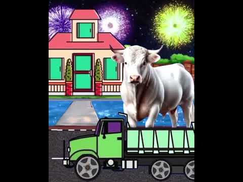 Takbiran keliling idul adha 2025 sapi kurban #allahuakbar #fyp #takbiran #sapi