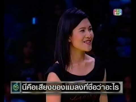 แฟนพันธุ์แท้-2004-(2547):-แมลง แฟนพันธุ์แท้-2004-(2547):-แมลง