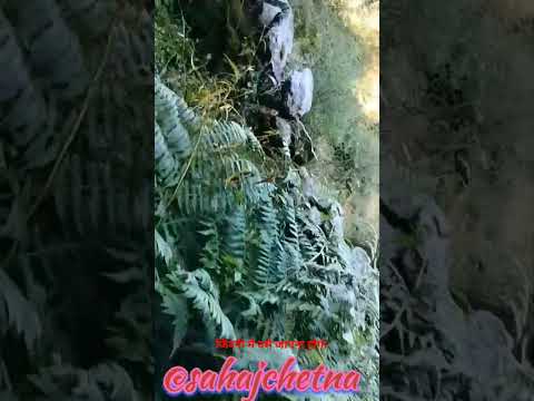 खुशी। happyness।। @sahajchetna।। #विज्ञान #motivation #ओशो #ओशोविज़न #motivational #mind #osho