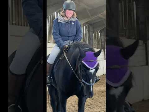 I’m riding Danny over poles and trotting over the poles #private lesson