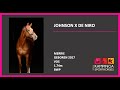 Dressage horse Johnson x De Niro merrie 7 jaar
