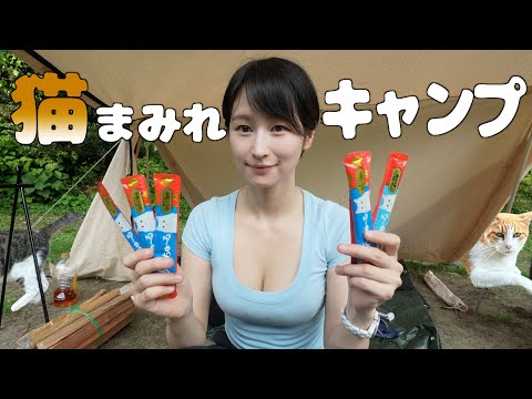 猫の里キャンプ！ 何匹の猫を愛でられるか挑戦！