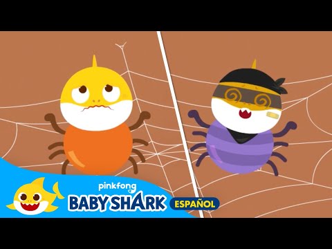 ¿Conoces a Araña Bebé Ladrona? | Cantemos y Juguemos con Tiburón Bebé | Baby Shark en español