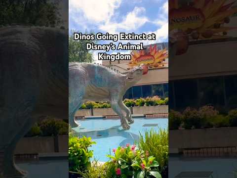 Dinosaur Soon Extinct At Disney’s Animal Kingdom #disney #disneyworld #animalkingdom #shorts