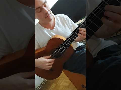 NICOLAS - SUNSHINE (Mein Campf) #guitar #flamenco #music #lesson #song