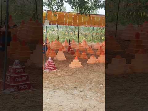 #song #baffalo #bhojpurimusic #funny #sajaungalutkarbhiterebadankida