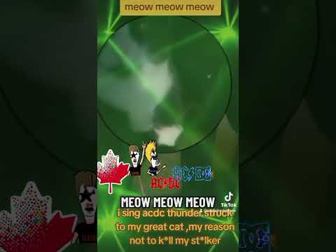 #80smusic Old man sings #acdc thunderstruck to my cat#rock #music#funny #80s #shortvideo #shorts