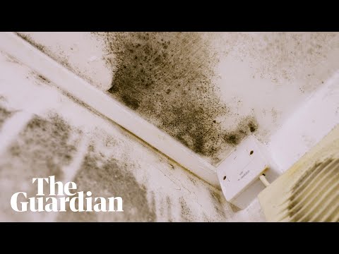 'Slums of the 21st century': one family's life in a mouldy, overcrowded flat