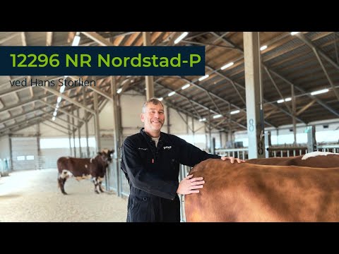 Presentasjon av 12296 NR Nordstad P