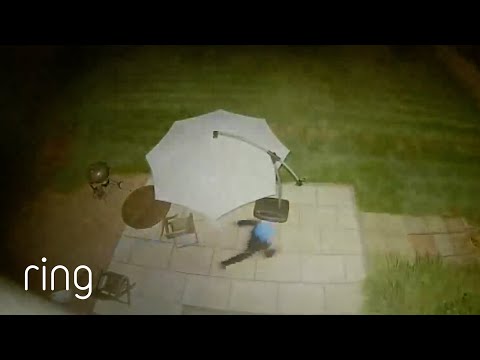Backyard Snoop Takes off Running When Floodlight Cam Activates | RingTV