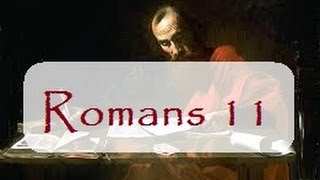 Romans 11 (Steve Gregg)