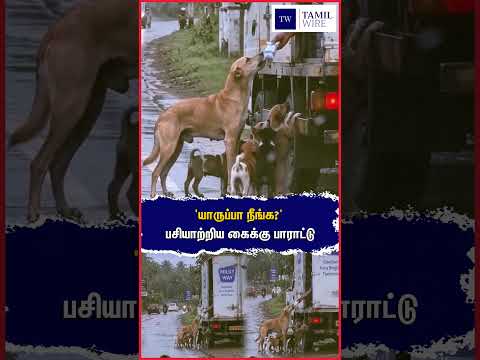 பசியாற்றிய கைக்கு பாராட்டு #Kerala #Dog #Dogs #AnimalLover #<strong>Animals</strong> #Petanimals
