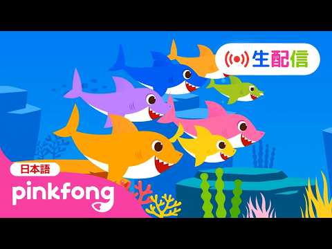 【🔴生配信】ピンキッツ・ベイビーシャークの24時間TV LIVE★ | サメのかぞくの子どもの歌メドレー🎶
