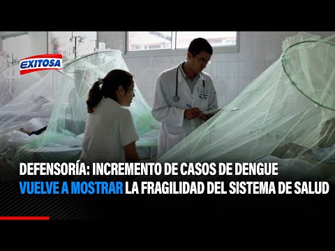 Defensoría: Incremento de casos de dengue vuelve a mostrar la fragilidad del sistema de Salud