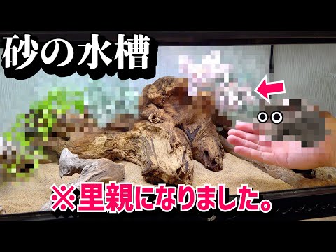 新生体導入!里親募集で素敵な出会いが…