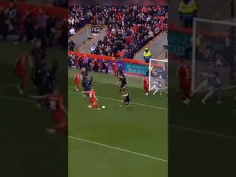 Best Aberdeen F.C. limbs #football #aberdeen #aberdeenfc #limbs #shorts #ytshorts #yt #short #ytshot