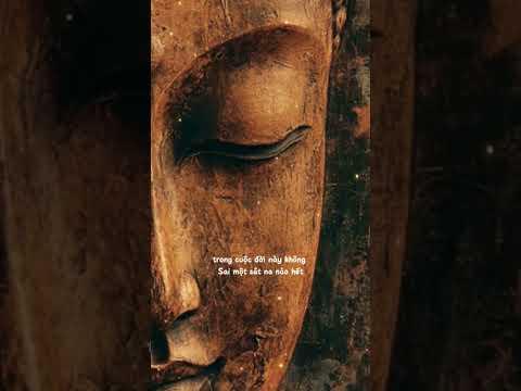 KHÔNG GÌ NGẪU NHIÊN #loiphatday #nammoadidaphat