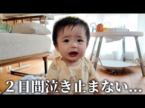 睡眠1時間で迎えた朝。体調不良の８ヶ月のレイと、編集に目覚めたルネと過ごす1日Vlog