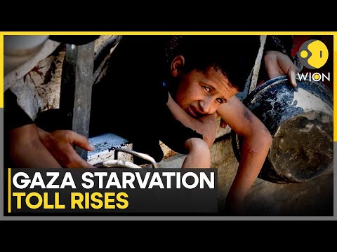 Gaza: 85 Children Die From Malnutrition in 24 Hours; Infants Fed Only Water | WION