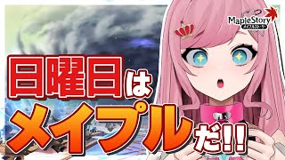 【MapleStory】ルーンCT短縮！狩りするぞ！！！！！【メイプルストーリー/かえで/VTuber/香魔トワレ】