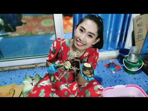 ชายชลไทยแท้-ต้นแม่สวยมาก-หัวให ชายชลไทยแท้-ต้นแม่สวยมาก-หัวให