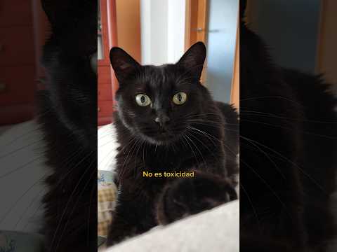 Mi Karen NO tiene razón