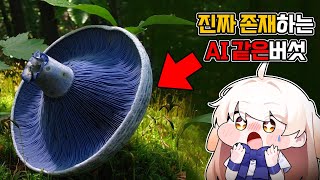 실제로 존재하는 ai같은 버섯들?!