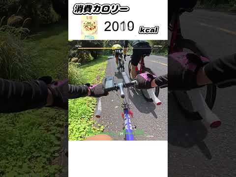 ロードバイクの消費カロリーがえぐい。 #ロードバイク #伊豆一 #鉄ロード