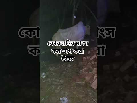 কোরবানির মাংস কয় ভাগ করা উত্তম #shorts #shortsvideo #islam #foryou