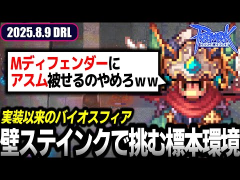壁ステのインクで標本環境の討伐に挑む | 8.9 𝐃𝐚𝐢𝐫𝐲𝐑𝐎𝐋𝐢𝐯𝐞 | RO - ラグナロクオンライン