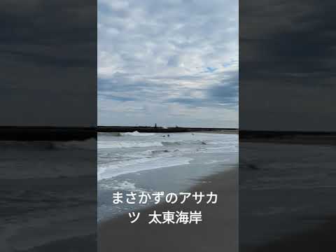 【情熱朝活🌞】 R6/11/23 太東海岸 ビーチクリーン 芋煮会 勤労感謝の日 新嘗祭 まさかずのアサカツ 千葉県議会議員 小路正和