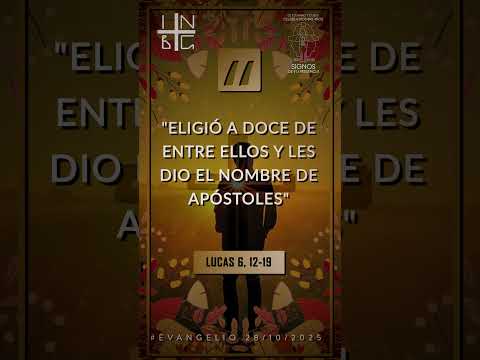 “Eligió a doce de entre ellos y les dio el nombre de apóstoles.” (san Lucas: 6, 12-19)