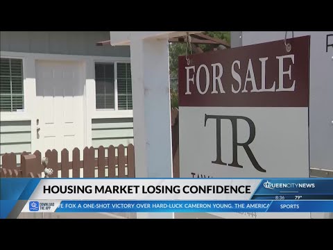Business Analyst: Housing market losing confidence