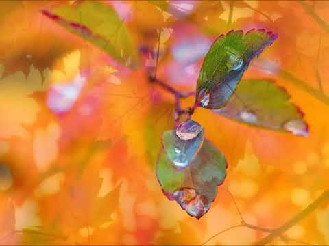 Der Herbst hat bunte Blätter (Lakomy/ Ehrhardt)