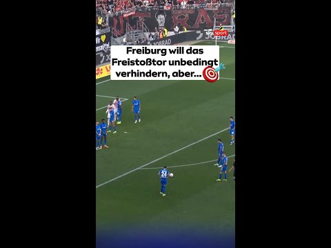 Grimaldo macht’s mal wieder per Freistoß. 🎯