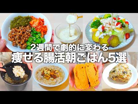【食物繊維×善玉菌の最強腸活】簡単5分で作れる。作り置きもOK！2週間で腸内が劇的に変わる朝食メニューをご紹介します。