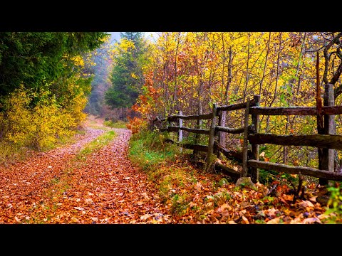 Blessed Assurance (Instrumental) - Traditional Peaceful Beautiful Hymn - Arranged by Tim Janis