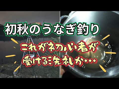 泉南の河川敷でうなぎ釣り～ウナギ以外にも変な外道ばっか釣れて恐い～