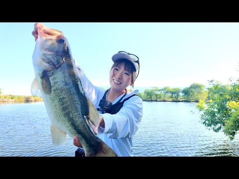五三川で爆釣！！【ルアー色縛り後編】