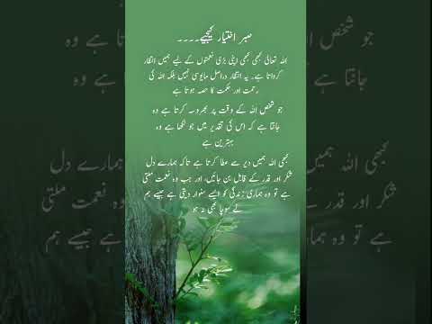 #islamic #status #video #deeneislam #islamicquotes #shortsvideo #shortsfeed #shorts