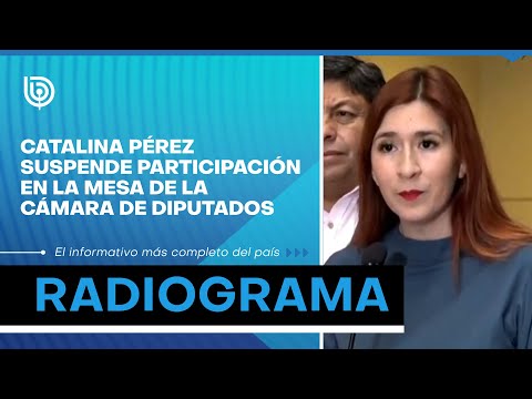 Catalina Pérez suspende participación en la mesa de la Cámara de Diputados