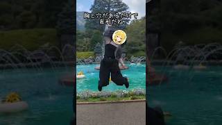 バズった動画についたコメントまとめてみた！ #うおむすめ #黄金マアジ #踊ってみた
