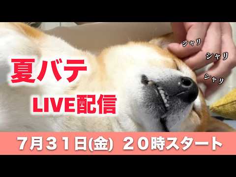 夏本番！！グデっとLIVE配信！！