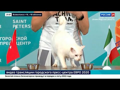 ВЕСТИ 24  Санкт-Петербург от 11.06.2021