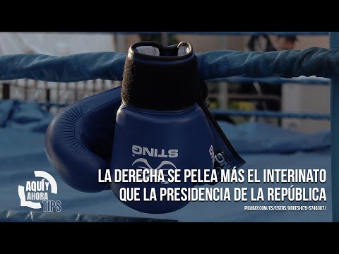 La derecha se pelea más el interinato que la Presidencia de la República